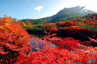 那须