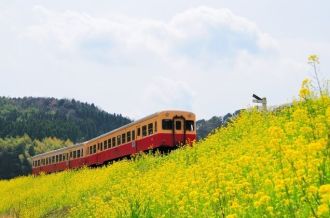千叶县