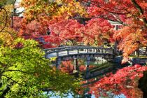 永观堂禅林寺