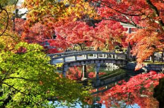 永观堂禅林寺