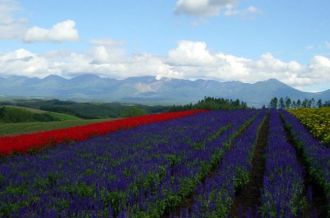 北海道
