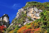 甲府