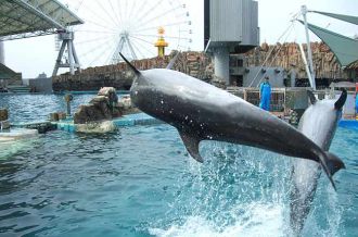 名古屋港公共水族馆