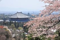 奈良