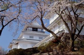 新泻县