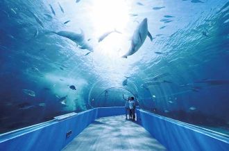 能登岛水族馆