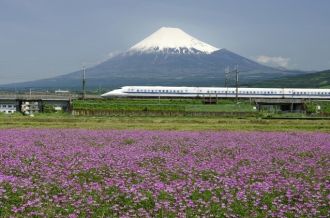 静冈县