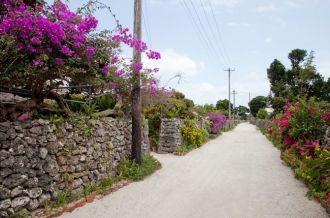 竹富岛