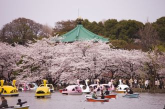 上野