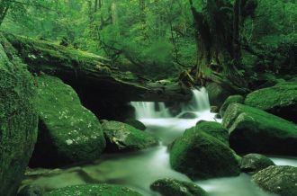 屋久岛