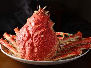 如果去看富士山,一定要顺道光顾的这五家以新鲜食材为荣的餐厅|山梨・静岡