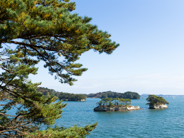 日本三景之一——松岛,观景之余不可错过的名店