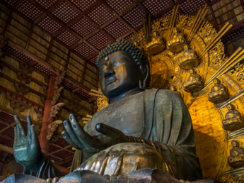 奈良・东大寺观光后必去的餐厅