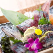 土佐清水WORLD 上野店_将鮮度超群的青花魚做成刺身享用的“活切处理法 清水青花鱼刺身”