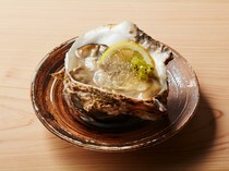 神乐坂 寿司 KONKON_以清凉冰爽的香气令人胃口大增的“岩牡蛎、猕猴桃配夏布利酒果冻”