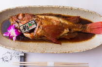 煮鱼・刺身・时令菜　海乃四季_蓬松柔软精制奢侈素材而成的“大翅鲪鲉干烧”