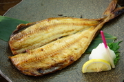 函馆海鲜料理 海光房_烤条纹多线鱼