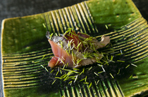 寿司店MATSUMOTO_来自下酒佳肴。绝不错失最美味时期的“刀拍回游鲣鱼（秋季）”
