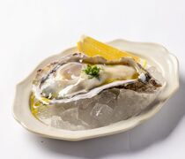 KABEAT_厨师们也爱不释手的牡蛎不容错过！尝试一下自然鲜美的“广岛产KANAWA生牡蛎”