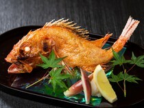 六本木 龟甲_精选优质的高级鱼，以精湛的火候呈现顶尖的风味和口感的“烤鱼”