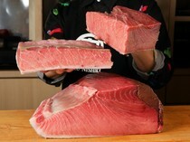 奥 寿司与炸串_凭店主对金枪鱼的无尽热忱，打造无上美味的“天然生蓝鳍金枪鱼手握寿司”